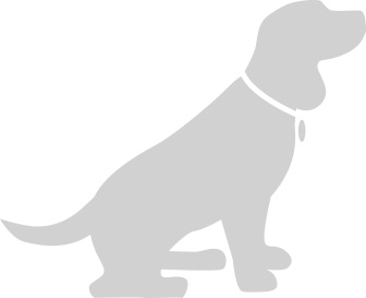 Silhouette of a sitting dog