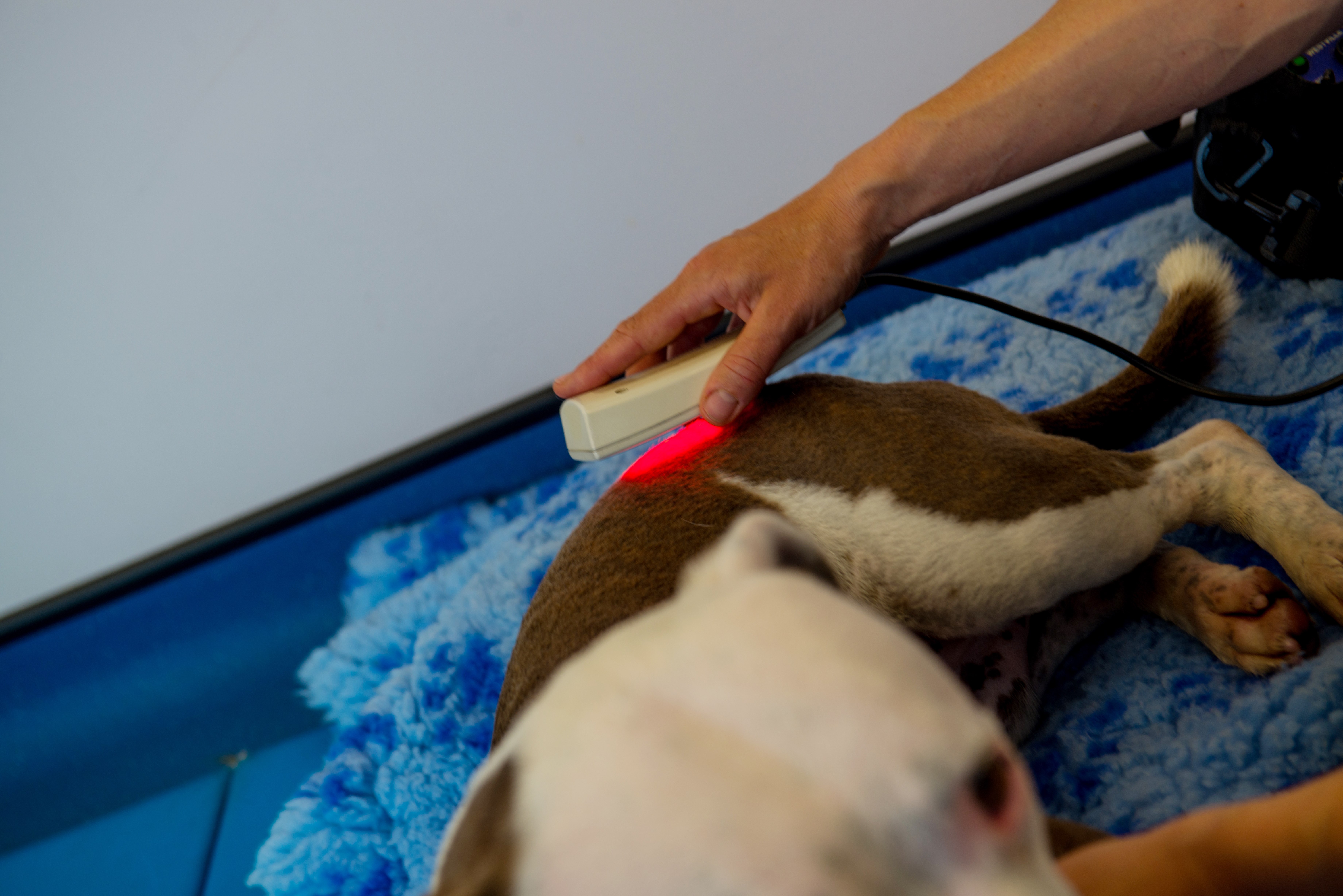 Laser therapy