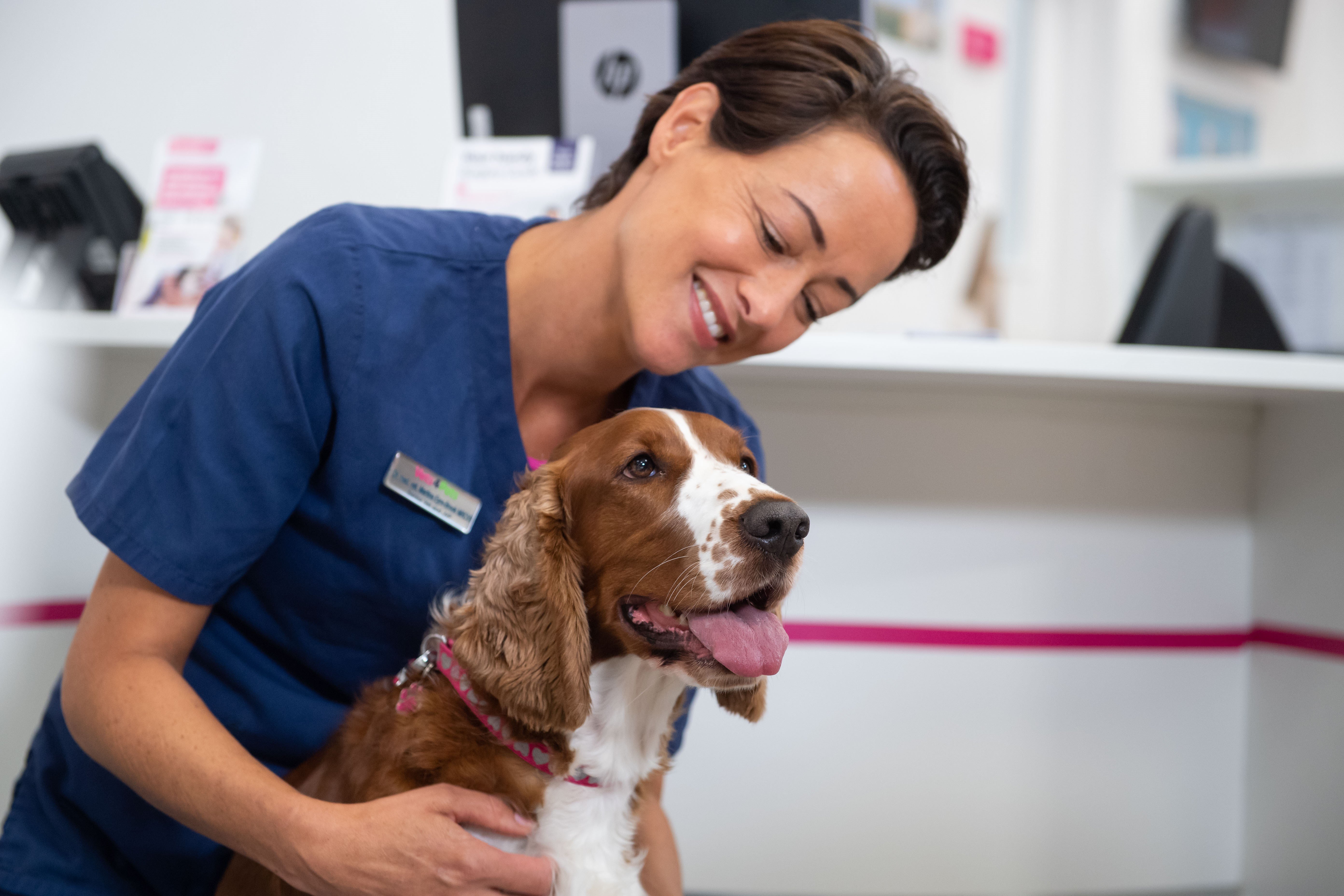 Vaccinating Your Pet Vets4Pets