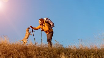 dog and owner on walk mountain