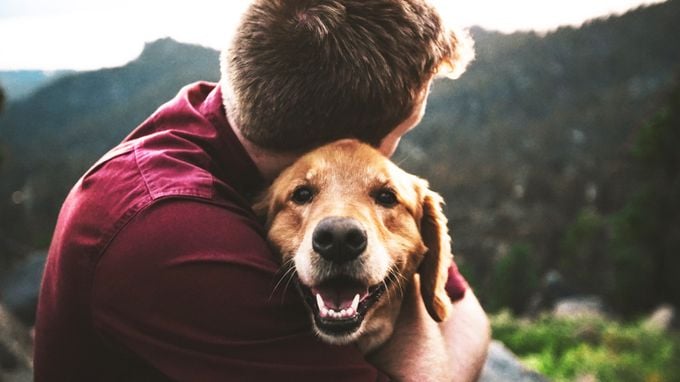 Vets in Kendal | Vets in Cumbria | Vets4Pets