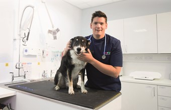 Vets in Oxford | Open Saturday & Sunday | Vets4Pets