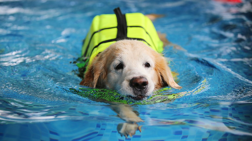 hydrotherapy-hero-image
