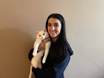 Chloe cat picture website