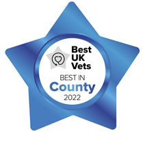 Best UK Vets - Best in County