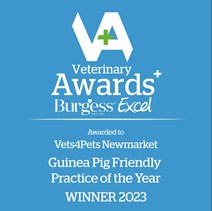 Guinea Pig awards 