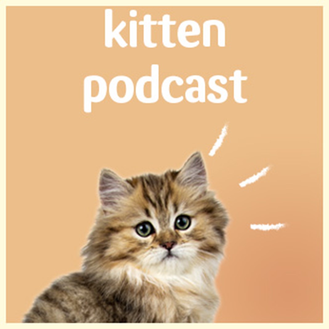 Kitten podcast with text