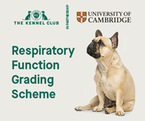 Respiratory Function Grading Scheme