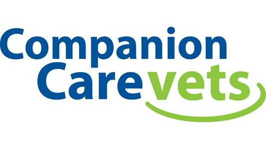 Companion Care logo 16x9