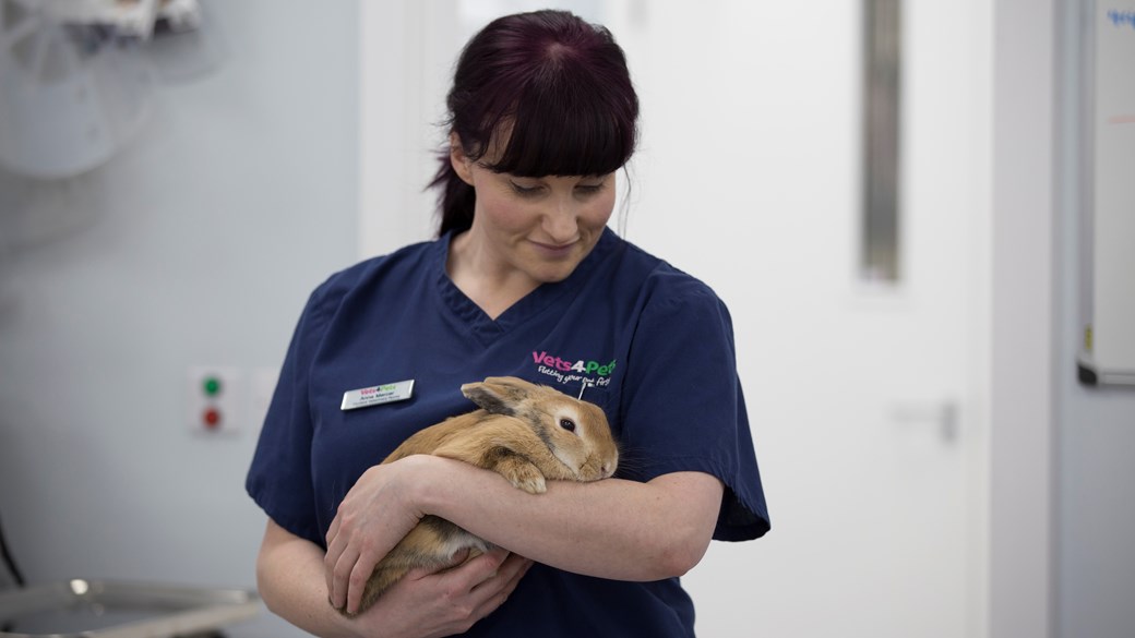 nurse with rabbit (1)
