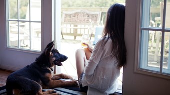 dog and girl sat by window