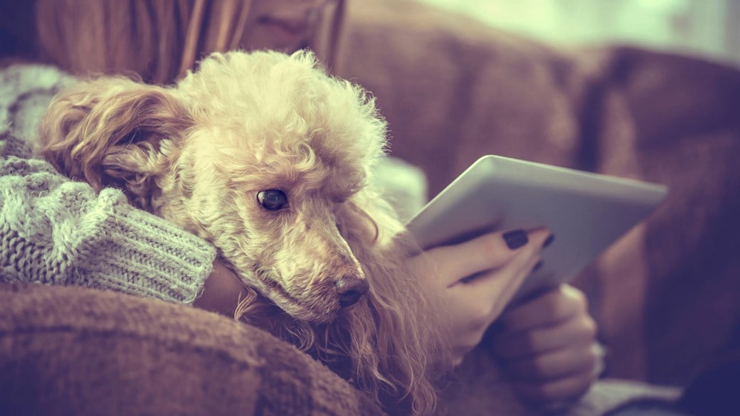dog on girls knee with ipad in home