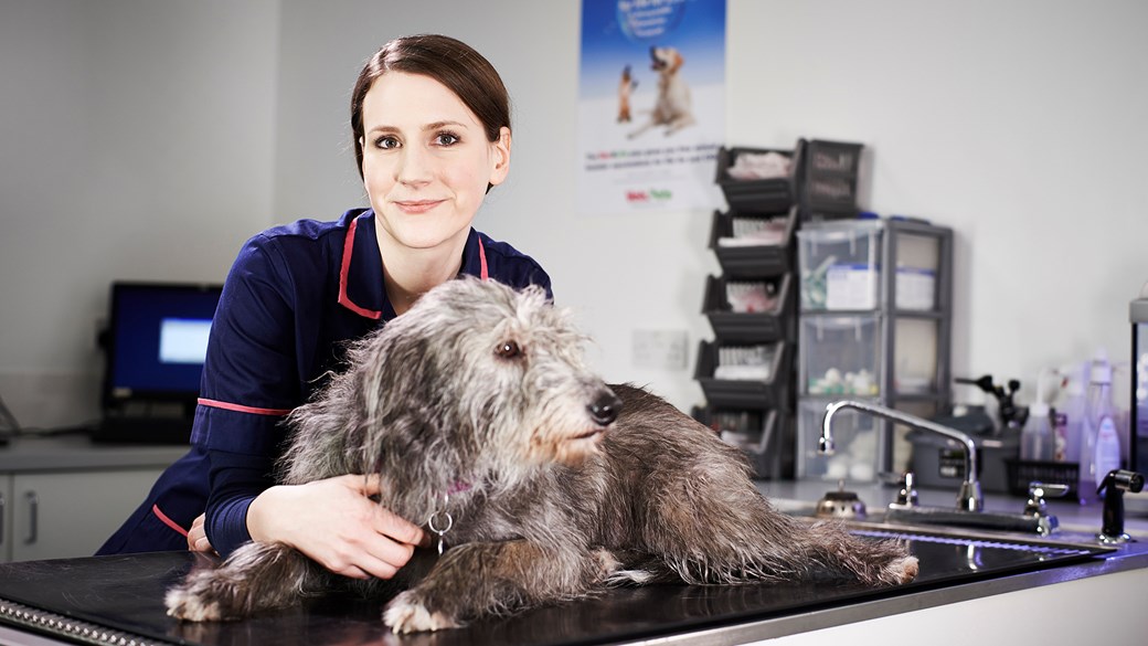 dog with veterinary nurse