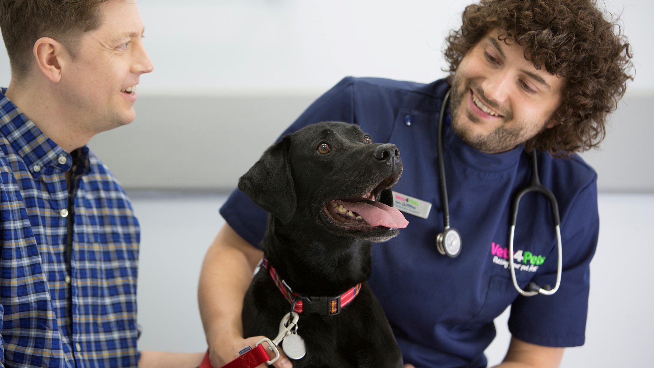 Complete Care for Dogs | Dog Care & Advice | Vets4Pets